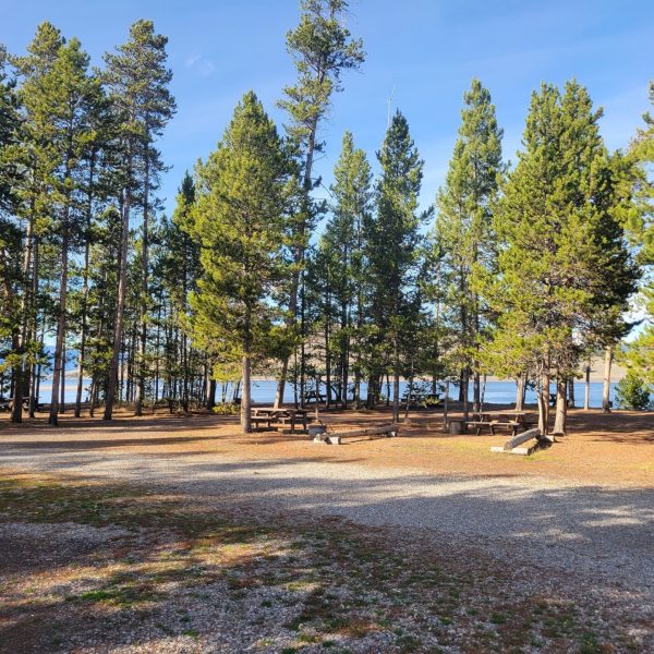 Madison Arm Resort Lakeside Tent Sites