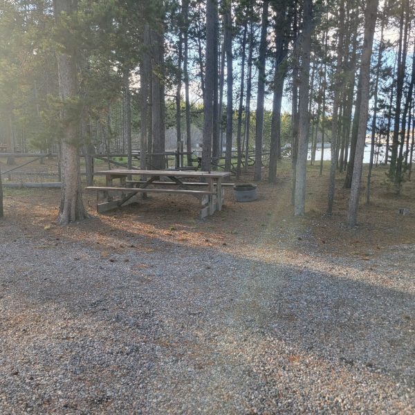 F11 RV Campsite   Camping RV