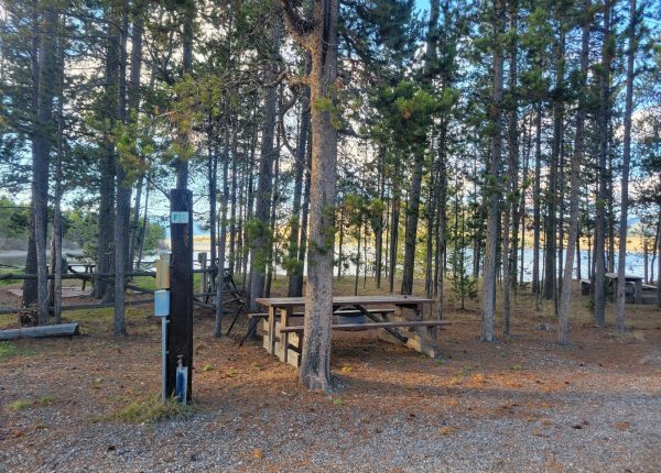 F11 RV Campsite Lakeside Yellowstone
