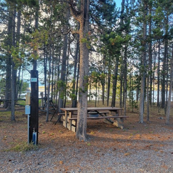F11 RV Campsite Lakeside Yellowstone