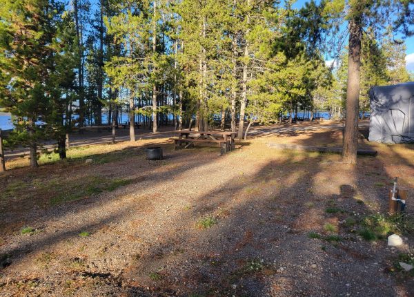 F12 RV Campsite Yellowstone Camping