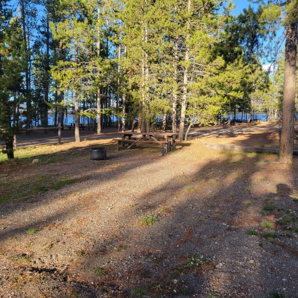 F12 RV Campsite Yellowstone Camping