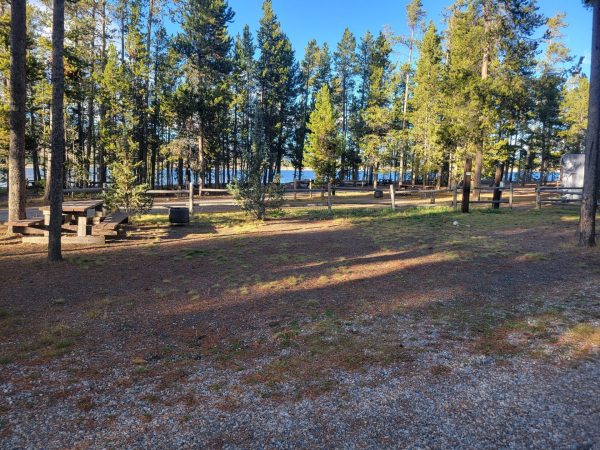 F14 RV Campsite Montana