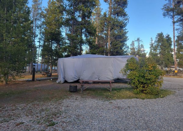 F23 RV Campsite Madison Arm