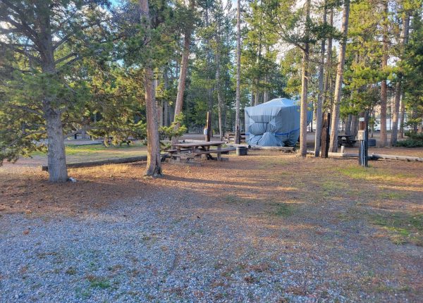 F24 Yellowstone RV Campsite