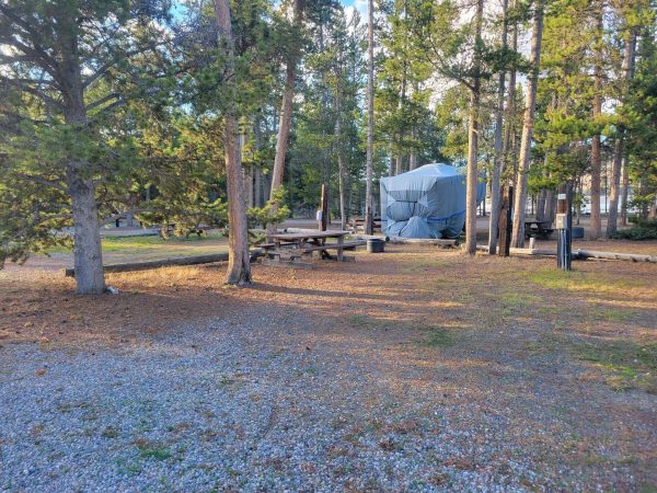 F24 Yellowstone RV Campsite