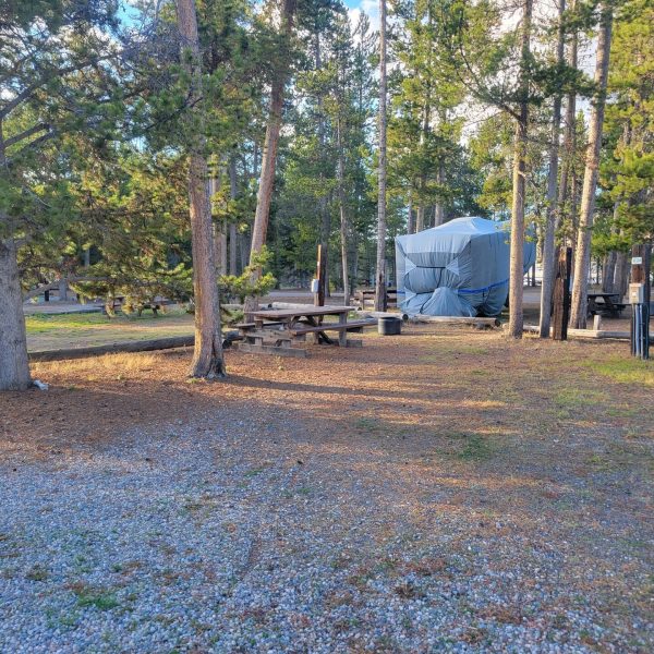 F24 Yellowstone RV Campsite