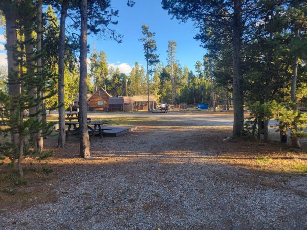 Pull-Through Full Hook Up RV Campsite F27