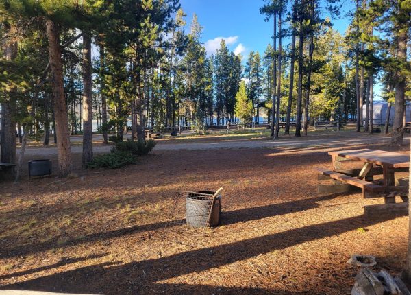 F30 Madison Arm RV Campsite