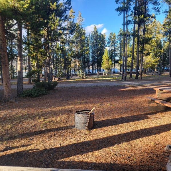 F30 Madison Arm RV Campsite