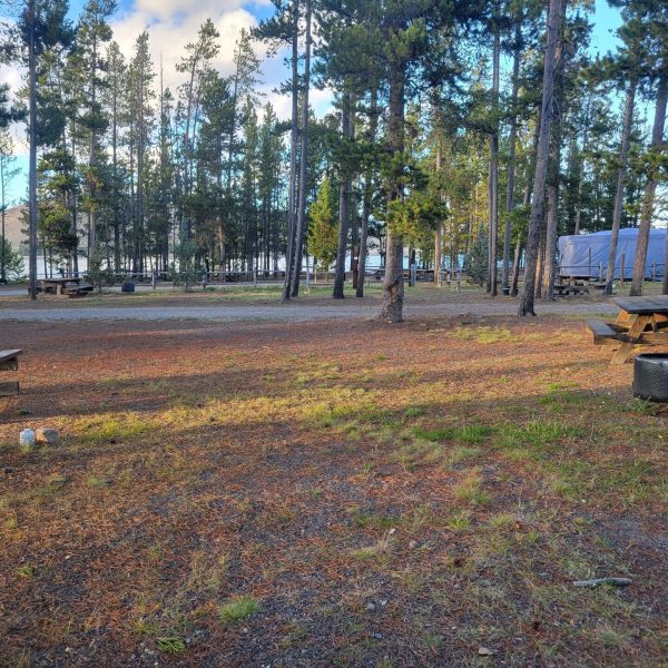 F31 RV Campsite Back