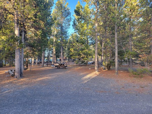 Full Hook Up RV Campsite F41