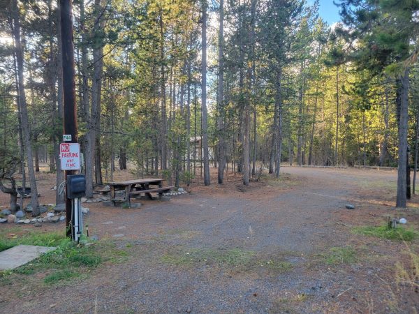 Pull-Through Full Hook Up RV Campsite F44