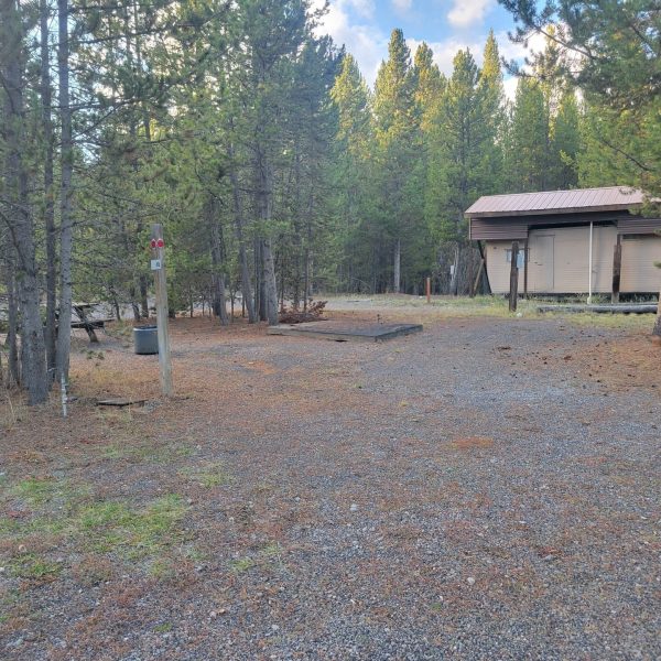 F46 RV Campsite Yellowstone
