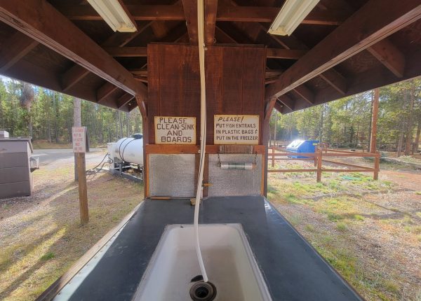 Fish Cleaning Station