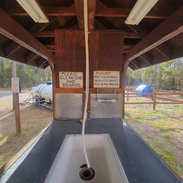 Fish Cleaning Station