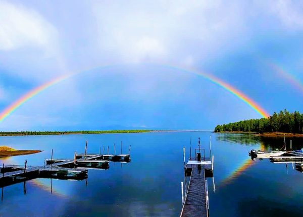 Marina Rainbow Madison Arm Resort 2