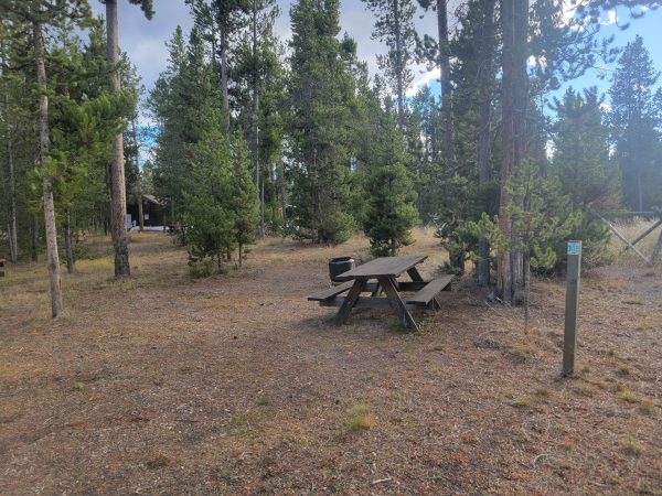 Hillside Forest Campsite O15