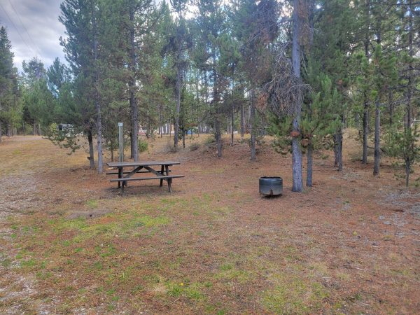 Hillside Forest Campsite O17