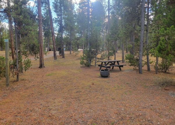 O18 Overflow Dry Camping Hebgen Lake Montana