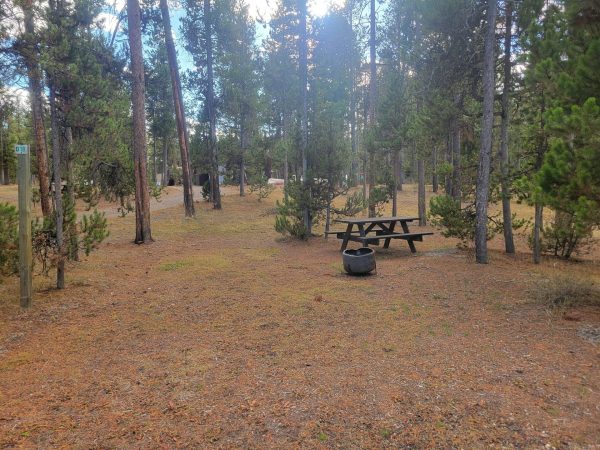 Hillside Forest Campsite O18