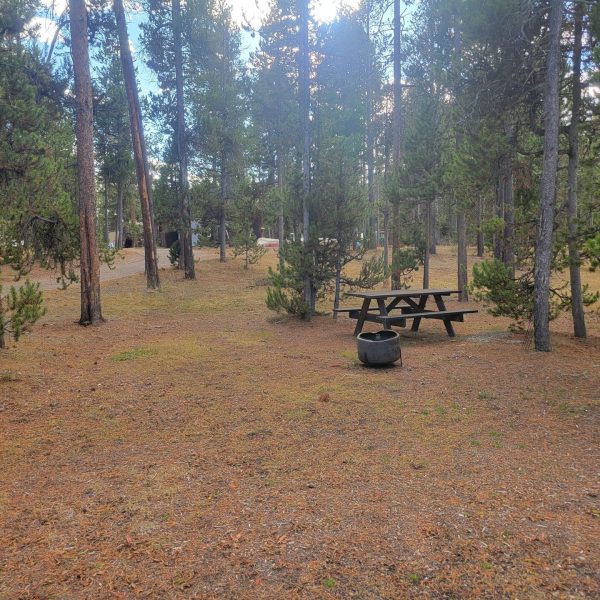 O18 Overflow Dry Camping Hebgen Lake Montana