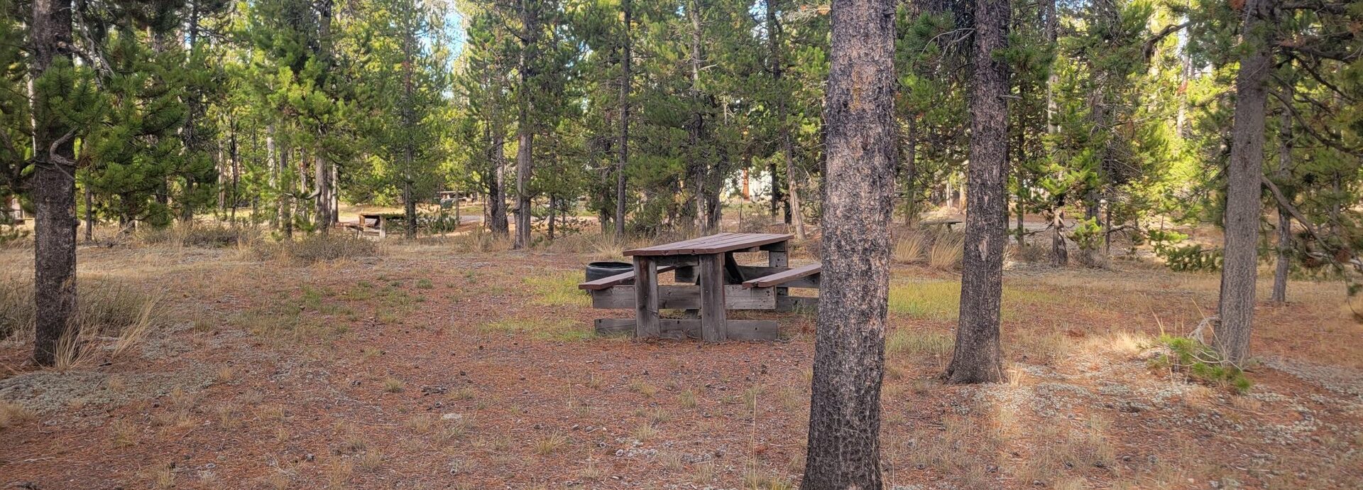 O20 Overflow Dry Camping Wooded Hillside Campsite