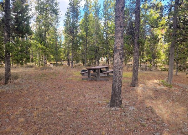 O20 Overflow Dry Camping Wooded Hillside Campsite