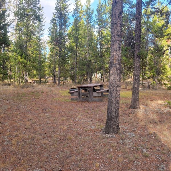 O20 Overflow Dry Camping Wooded Hillside Campsite