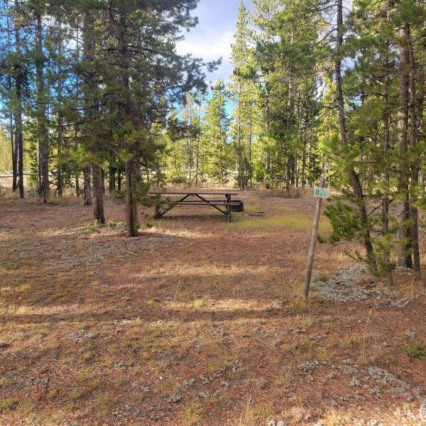 O20 Overflow Dry Camping Wooded Hillside