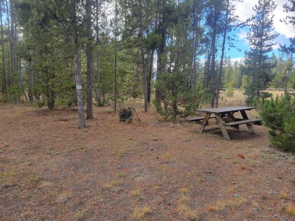 Hillside Forest Campsite O21