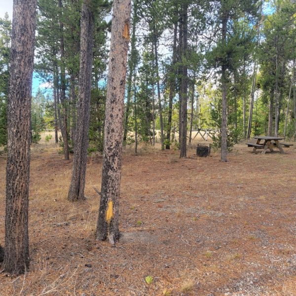 O21 Overflow Dry Camping Wooded Hillside Yellowstone Hebgen Lake