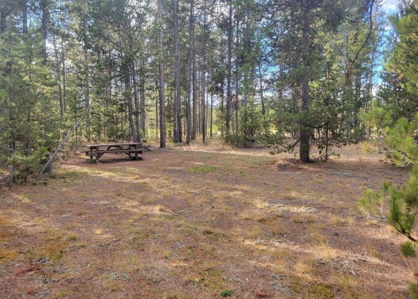 O22 Entrance Dry Campsite Madison Arm Hebgen Lake