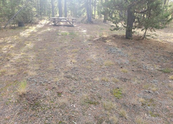 O22 Entrance Dry Campsite Madison Arm Resort Hillside Wooded Site