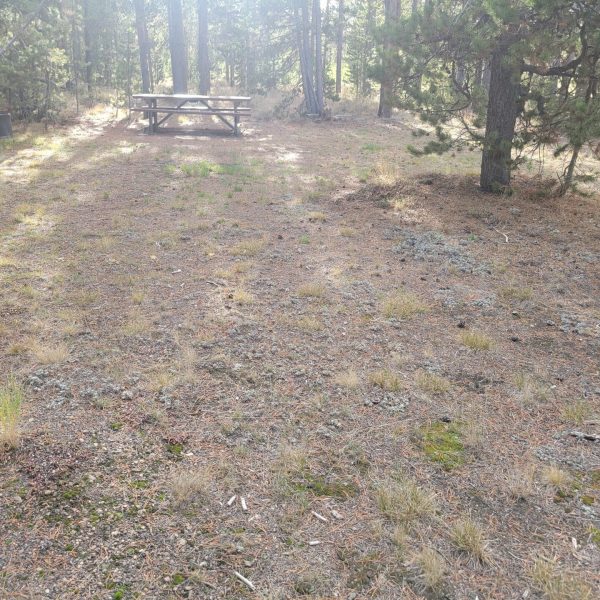 O22 Entrance Dry Campsite Madison Arm Resort Hillside Wooded Site