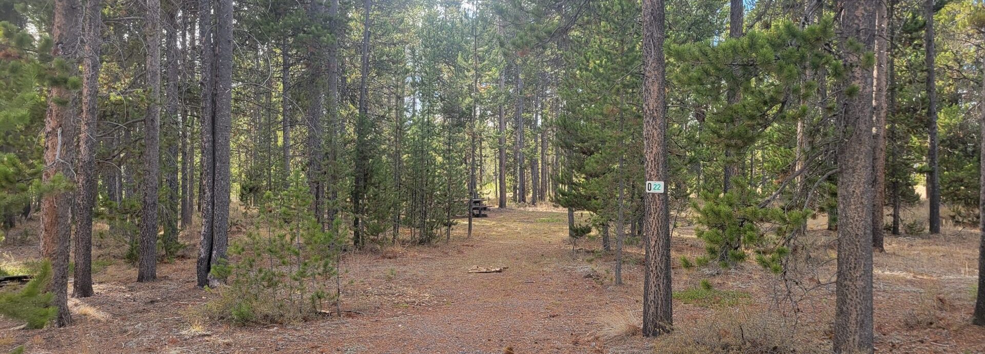 O22 Entrance Dry Campsite Madison Arm Resort