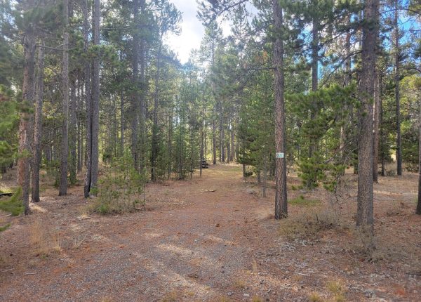 O22 Entrance Dry Campsite Madison Arm Resort