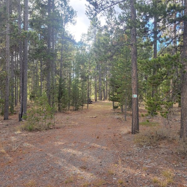 O22 Entrance Dry Campsite Madison Arm Resort