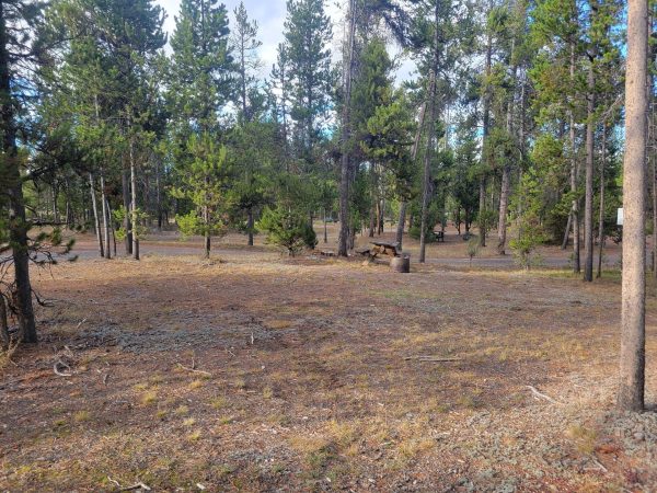 Hillside Forest Campsite O23