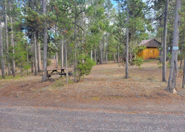 O23 Wooded Hillside Dry Campsite Madison Arm Resort