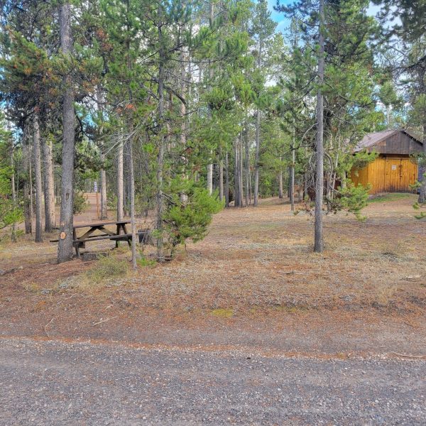 O23 Wooded Hillside Dry Campsite Madison Arm Resort