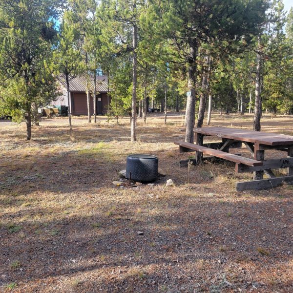 O24 Wooded Hillside Dry Campsite Madison Arm Resort