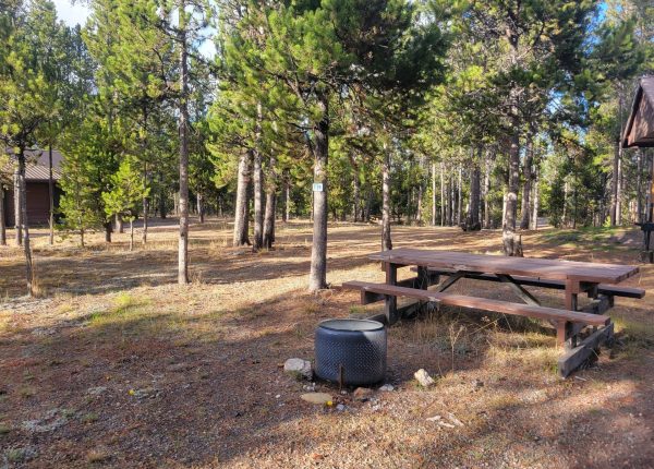 O24 Wooded Hillside Dry Campsite Yellowstone National Park
