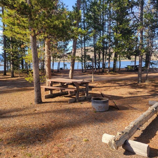 T12 Yellowstone Tent Camping