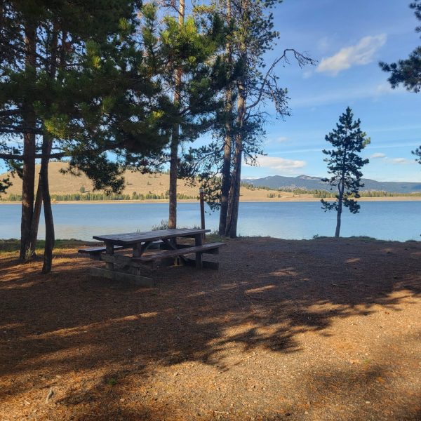 T5 Campsite - Yellowstone Camping