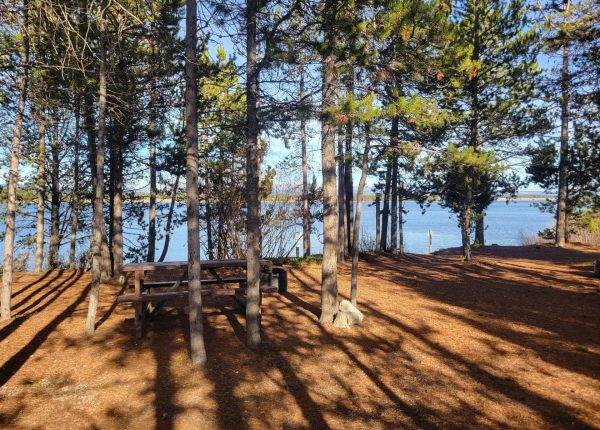 T9 Premium Lakeside Tent Camping