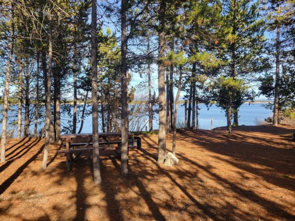 T9 Premium Lakeside Tent Camping