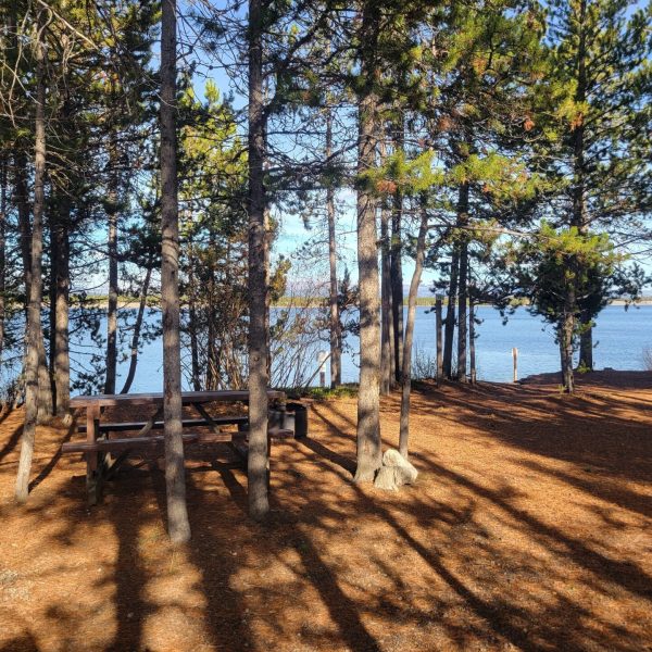 T9 Premium Lakeside Tent Camping