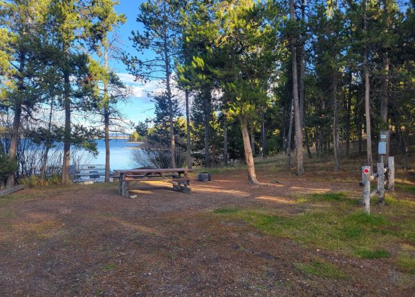 WP14 RV Site Madison Arm Hebgen Lake