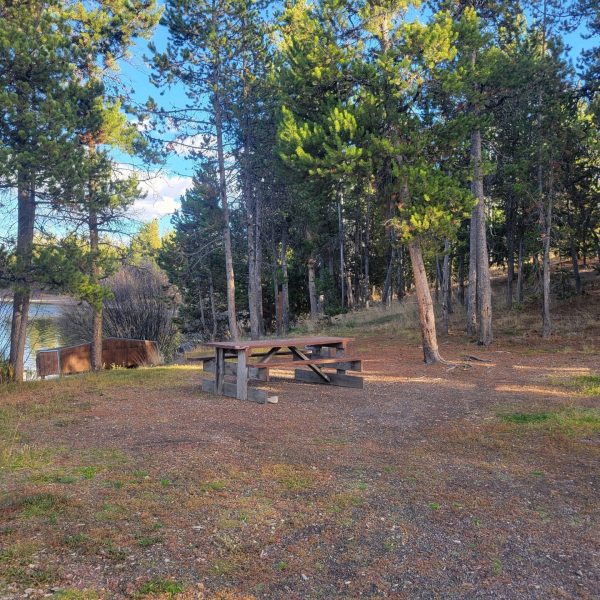 WP14 RV Site Yellowstone